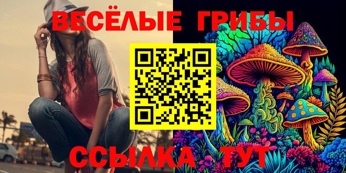 Мичуринск  Галлюциногенные грибы ЛСД  Вход с VPN 